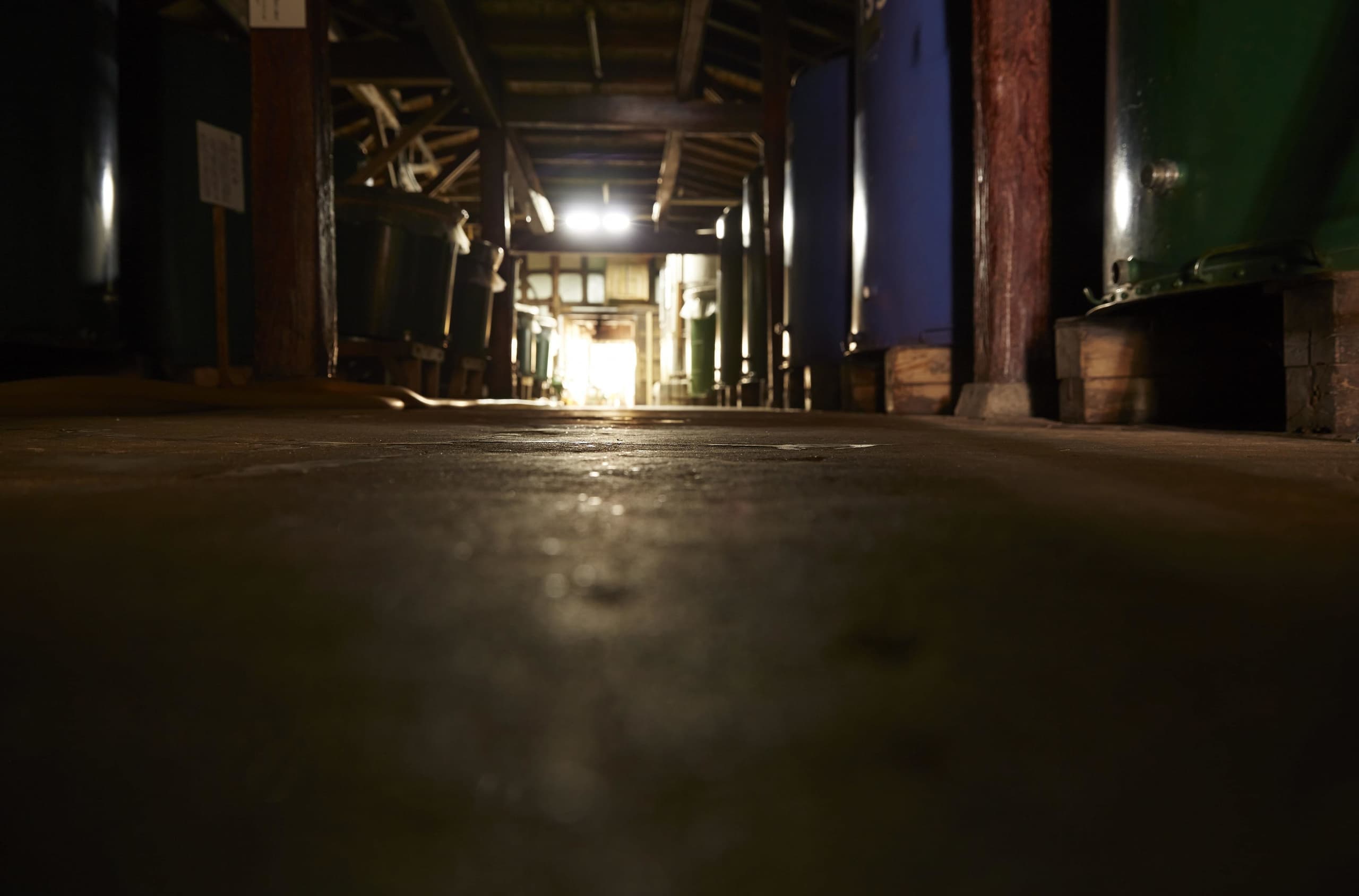 pxt00002623910003-min.jpg